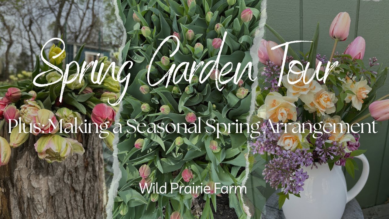 Early Spring Flower Farm Tour + Making a Seasonal Spring Arrangement ...