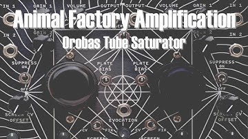 Animal Factory Amplification - Orobas