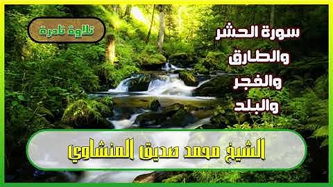 سورة الحشر والطارق والفجر والبلد تلاوة نادرة للشيخ محمد صديق المنشاوي التلاوة مجودة و كاملة