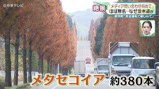 セントポーリア 木瀬おつた様 mqdefault.jpg