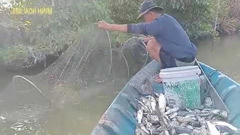 THUỐC CÁ VUÔNG TÔM 🐠 🐟 🦀 NGƯỜI MIỀN TÂY 