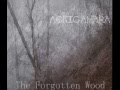 Miniature de la vidéo de la chanson Forgotten Woods Of Sorrow