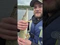 Pike #fyp #fishing #pike #pikefishing #catchandrelease