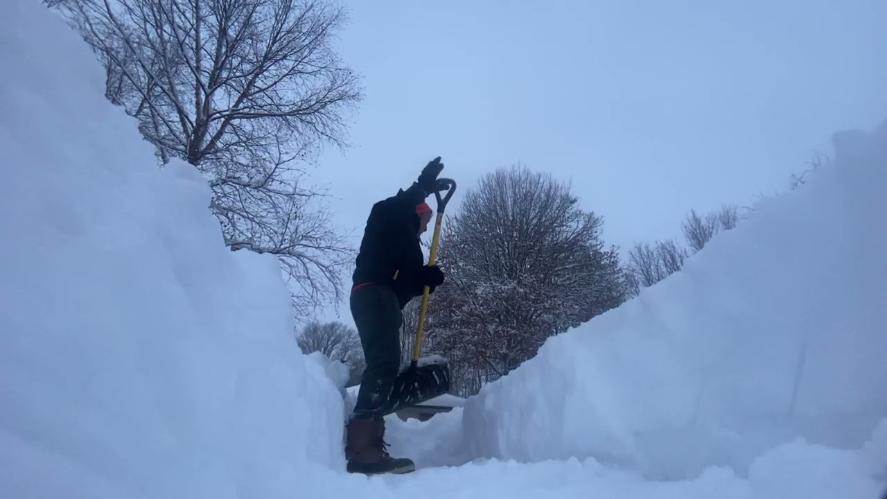 Should you shovel snow to the right or left?  The answer depends on which way your spine curves.