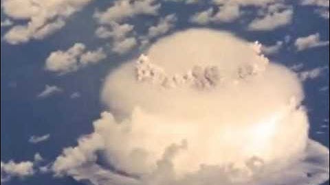 My First Spongebob WTF Collection