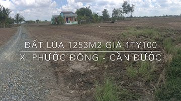 Đất lúa 1253m2 X. Phước Đông - Cần Đước giá 1ty100