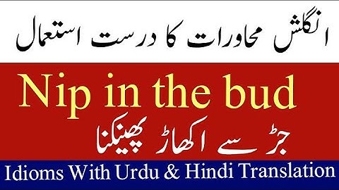 Nip in the bud | jadh se ukhar phainkana #english #idiomsandproverbs #idioms #englishgrammar #viral