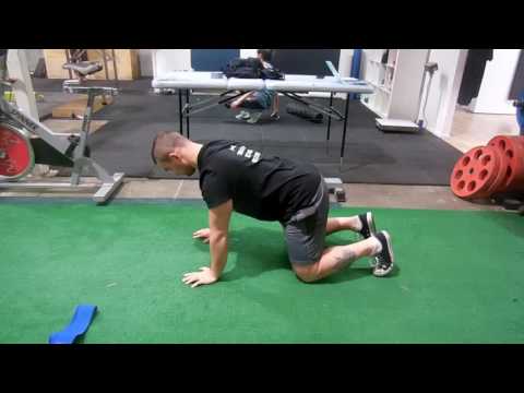 Bird Dog variations