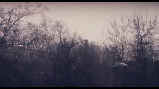 Orbion - Snow Radio Edit