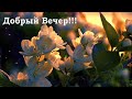 Добрый Вечер!! - ПЕСНЯ