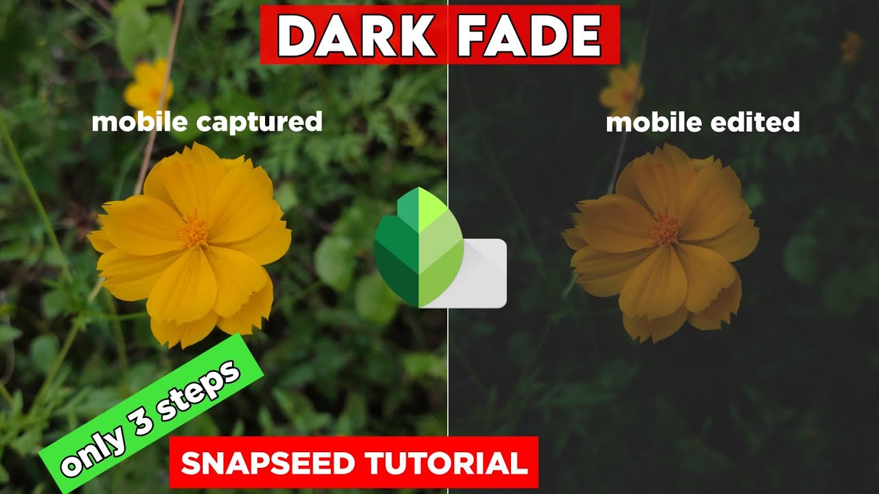DARK MOODY filter in just 2 minutes|Snapseed tutorial | How to edit moody using Snapseed | 2021|