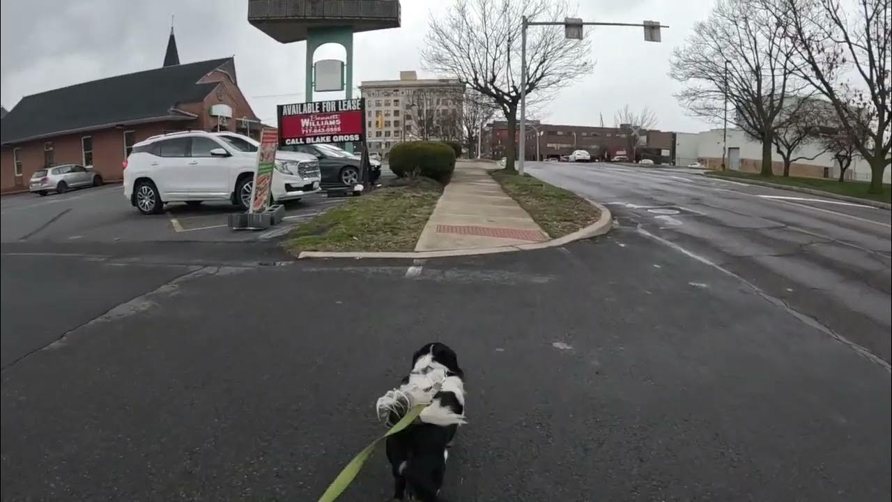 wilkes barre st patricks day parade 2025 lineup