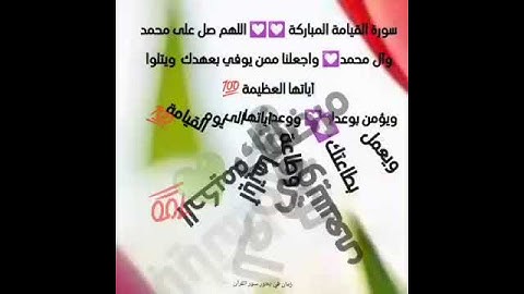 مشاعر وفوائد والحب في سور القرآن الكريم الحب لسورة القيامة #القرآن_نور_للقلوب_وشفاء_للصدور