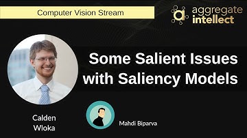 Some Salient Issues with Saliency Models | AISC