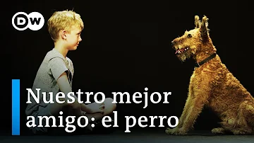 ¿Los perros prefieren vivir con otros perros?