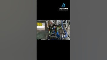 Rice noodle premade given bag weighing filling sealing machine testing video