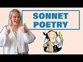 Understanding Sonnets