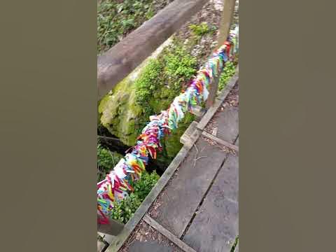 Лазаревское. Крабовое ущелье - YouTube
