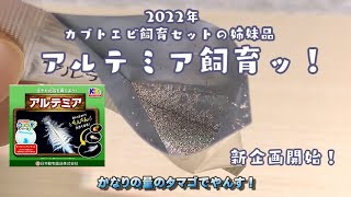 アルテミア飼育＃01 新企画始動！・・カブトエビ飼育セットの姉妹品、アルテミア飼育セットで微生物飼育開始！