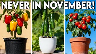 Famous The 20 Worst Crops To Plant in November - Never Plant in Winter! Net Worth
