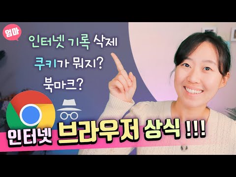 인터넷 방문 기록 삭제, 북마크, 시크릿 모드 등등. 인터넷 브라우저 기본 상식 마스터! (크롬 설치하기)