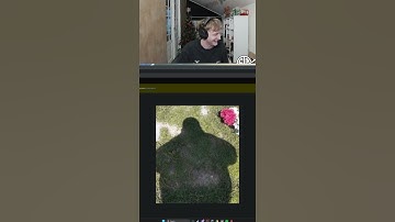 I love it when Twitch Chat roasts me