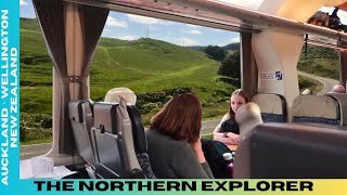 KiwiRail NORTHERN EXPLORER Train | Auckland to Wellington, NZ