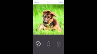 Photofy Tutorial: Blur Basics screenshot 4