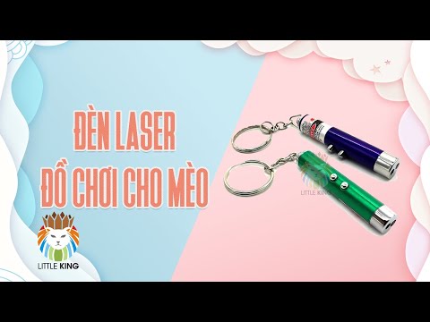 Video Đồ chơi đèn laser (la ze) đèn led cho chó mèo đùa... - youtube