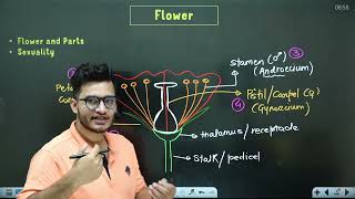 L5: Flower, Aestivation &amp; Placentation | Morphology in Flowering Plants| 11th Class Biology ft Vipin