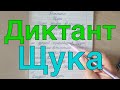 Диктант по теме " Написание буквосочетаний жи- ши, ча-ща, чу-щу, чк, чн, щн"