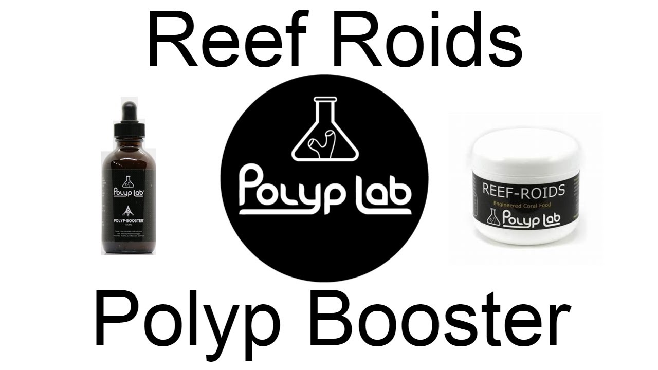 Polyp Lab Reef Roids and Polyp Booster How I Do It YouTube