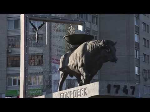 Природные символы Саратовской области.
