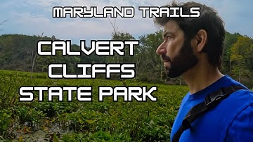  Calvert Cliffs Red Trail To The Cheaspeake Bay In Calvert County Maryland 