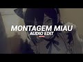Montagem Miau Tik Tok Version Lenar Edit Audio