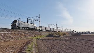 【EF65/EF66】東北線貨物列車(5本)  栗橋-古河⑧【EF210/EH500】