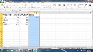 Cómo aplicar fórmulas a columnas en Excel 2010 screenshot 4