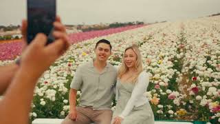 Experience the Magic of Where Color Takes Flight at The Flower Fields
