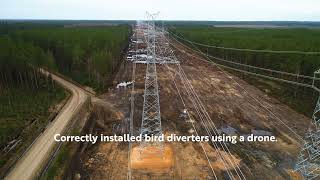 Installation of bird diverters using a drone