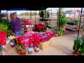 Jardines de jaravia  markt san juan de los terreros 181222 001