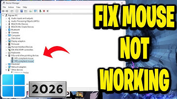 How To Fix Mouse Not Working In Windows 11 & 10 - 2026