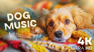 8 Hours Yuyu Pet Music  Therapy Music for Stressed Dogs | Relaxing Music For Dog