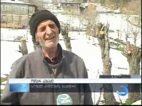 როგორ მიმდინარეობს საგაზაფხულო სამუშაოები მაღალმთიანეთში?