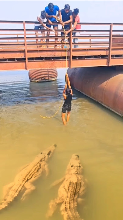 warga india vrindavan menolong orang jatuh ada buaya menunggu dibawah sungai #shorts