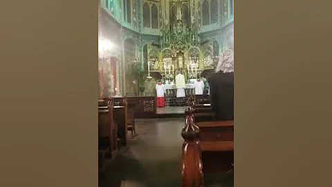 Gloria with Organ and Bells (Easter Vigil)
