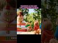 Ranking Alvin And The Chipmunks Songs Alvinandthechipmunks Chipmunks Cover Cartoonsongs Ranking Alvin And The Chipmunks Songs Alvinandthechipmunks Chipmunks Cover Cartoonsongs