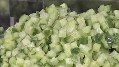 Hobart FP250 3/8" Soft Dicer Plate Dicing Cucumber