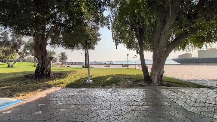 PXL 20251115 062840011