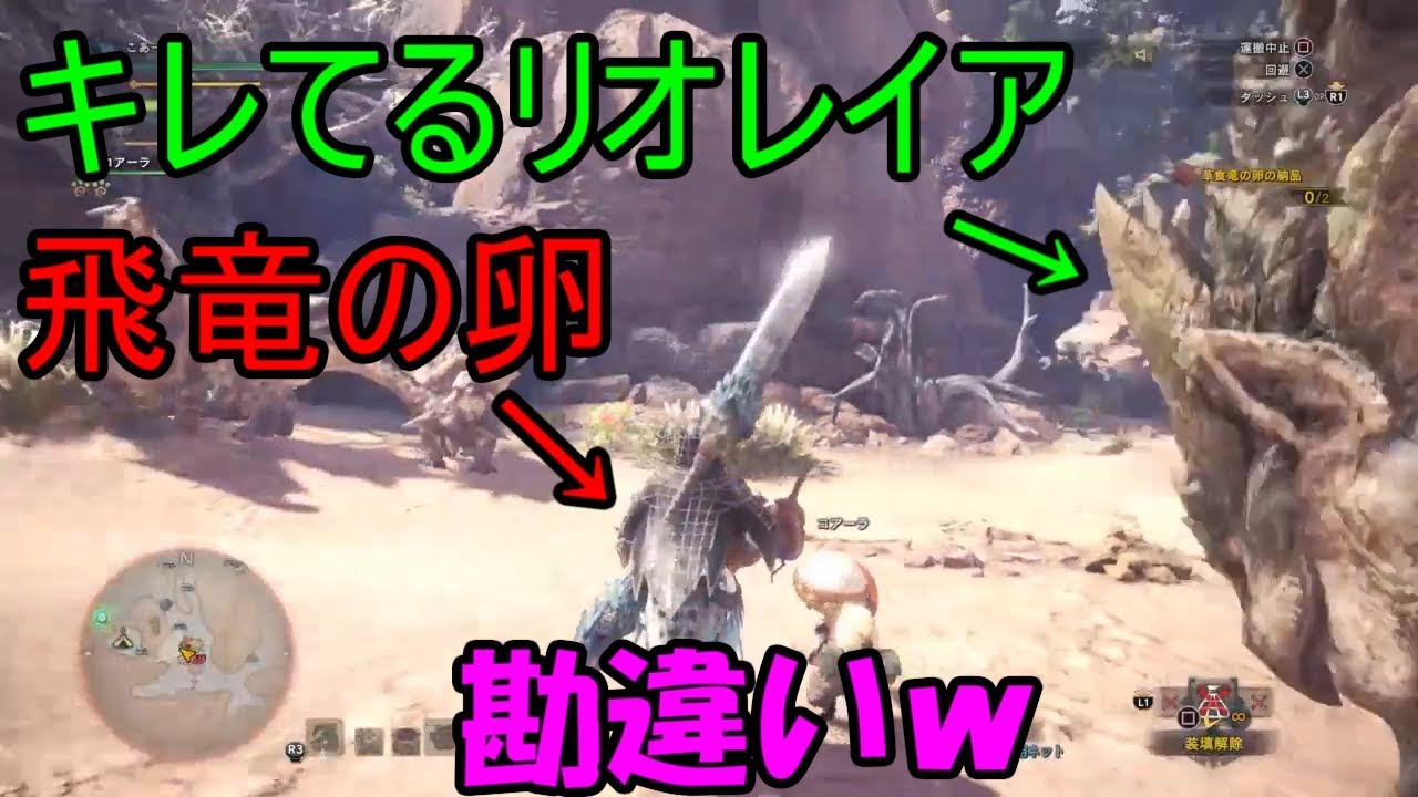 モンスターハンタ ワールド こあーらのmhw 生放送で起きた草食竜の卵と飛竜の卵間違い事件 Youtube