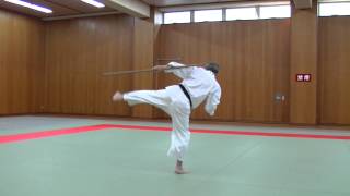 中国武術　少林拳　達磨杖　　契木　千切木　乳切木 鞭腿Whip Leg - YouTube